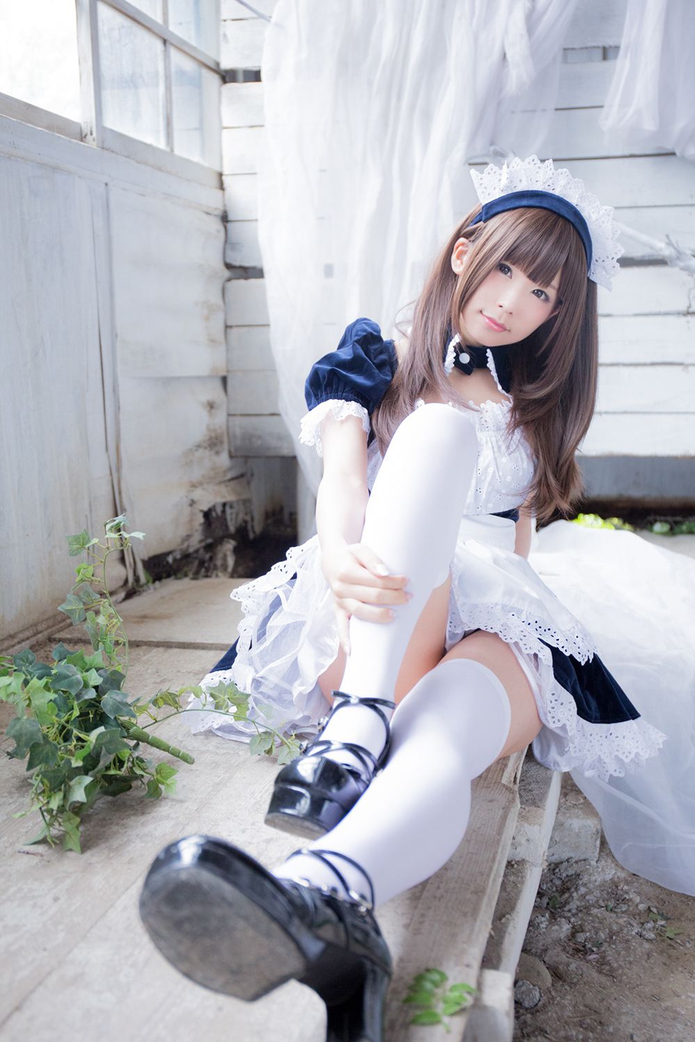 Coser@Akira Navy Maid Doll