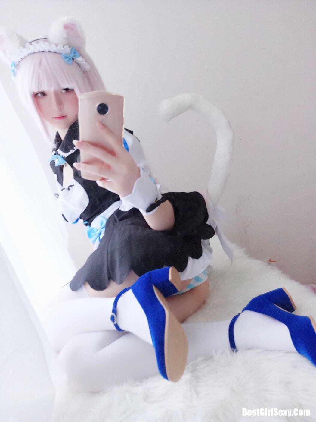 Coser@一小央泽 猫娘香子兰 Cover Photo