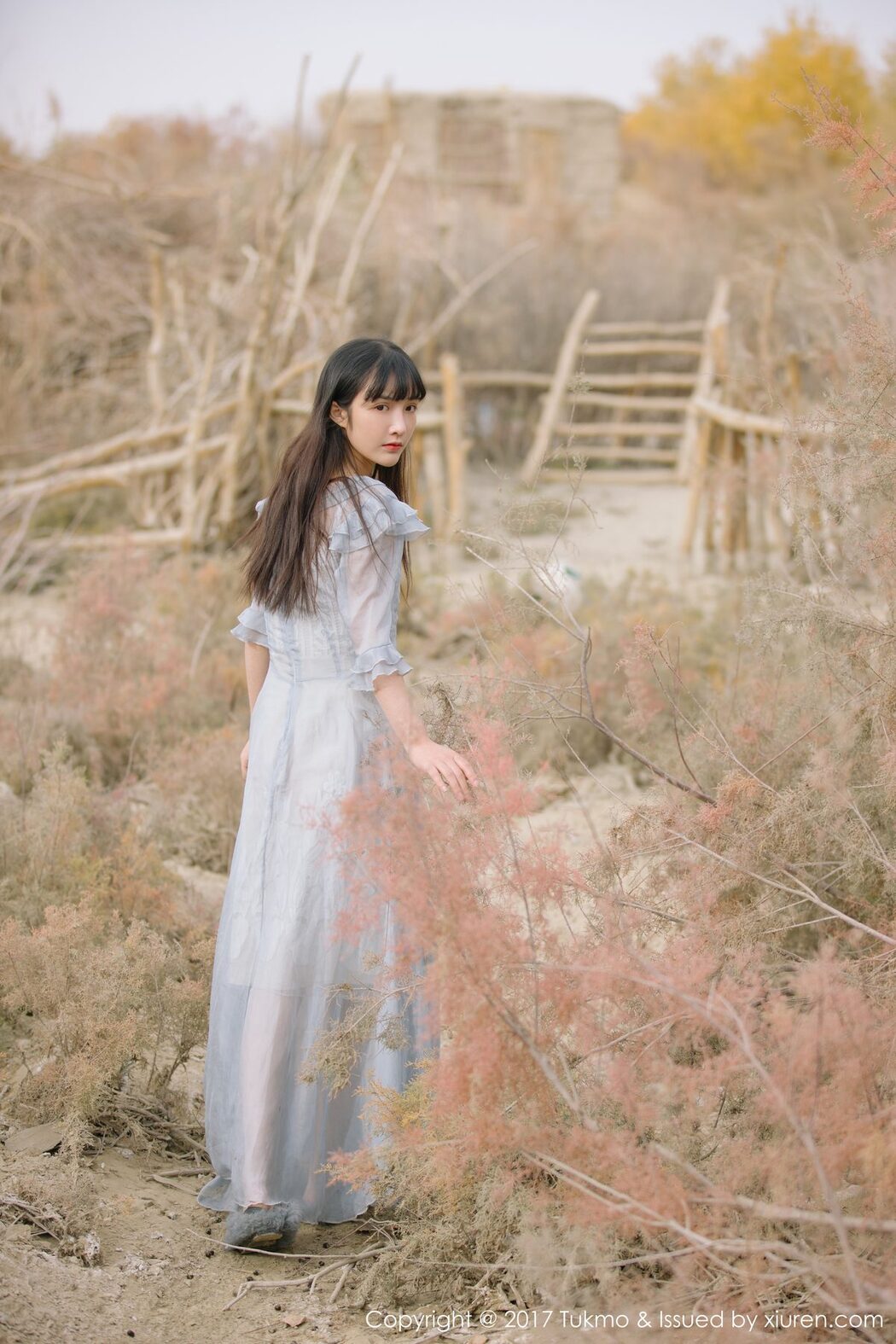 [BoLoli] Vol.104 Zhi Ying