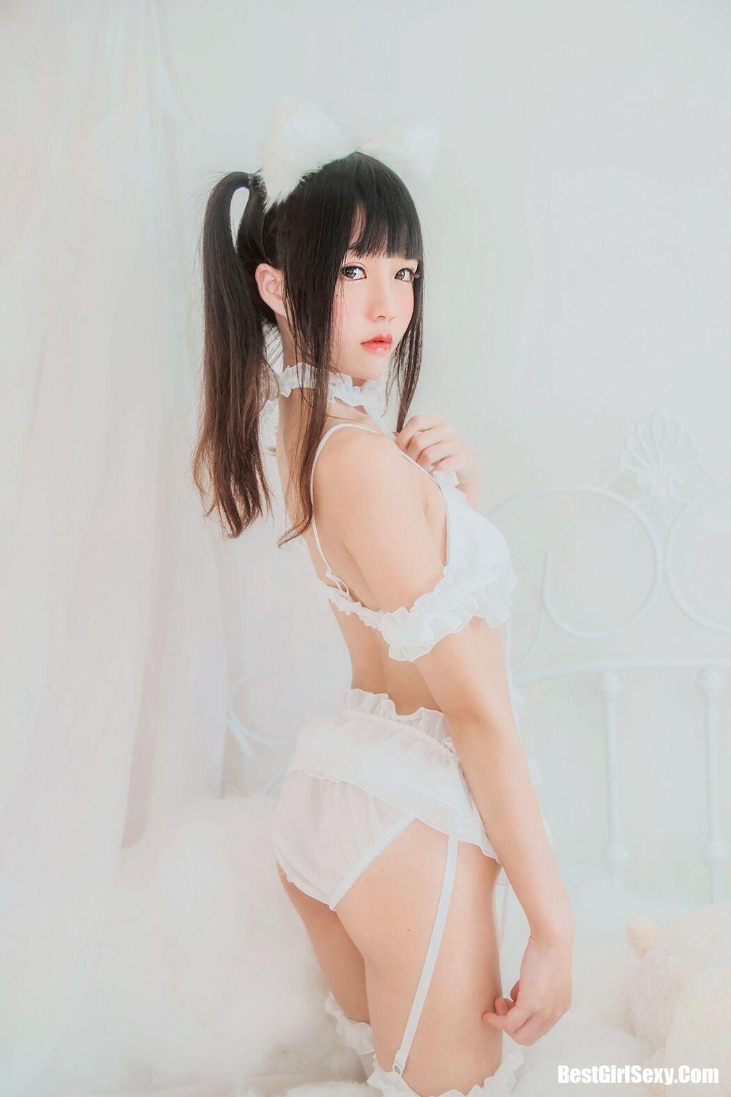 Coser@桜桃喵 Vol.008 纯白-白猫 Cover Photo