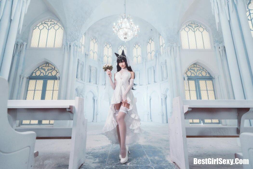 Coser@三度_69 Vol.008 爱宕犬花嫁