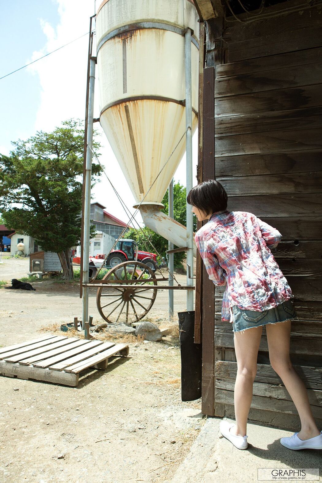 Airi Suzumura 《Summer Special 2015》 [Graphis]