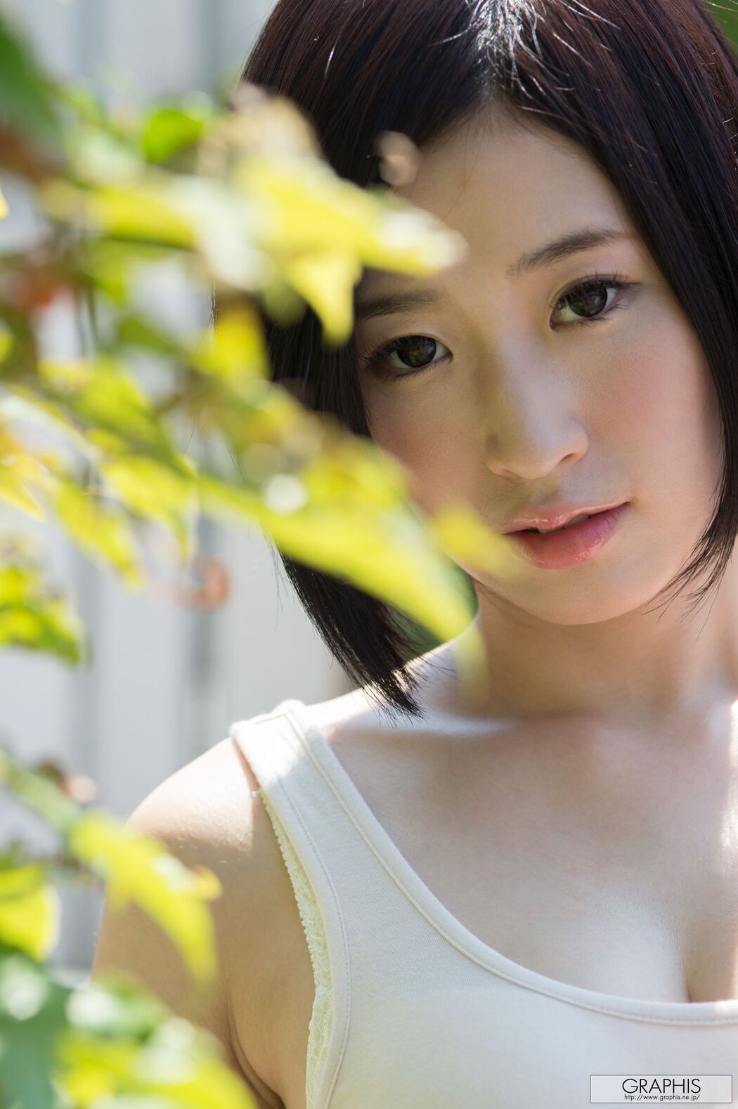 今永さな/今永sana "White Camellia" [Graphis] Gals
