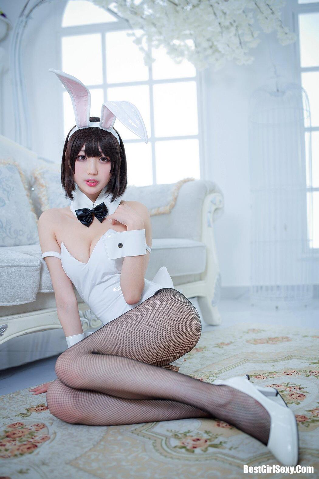 Coser@周叽是可爱兔兔 Vol.023 加藤惠兔女郎 Cover Photo