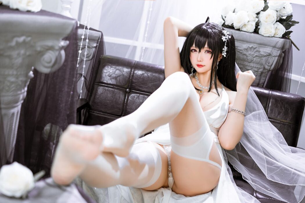 Coser@星之迟迟 Vol.106 Darling 大凤