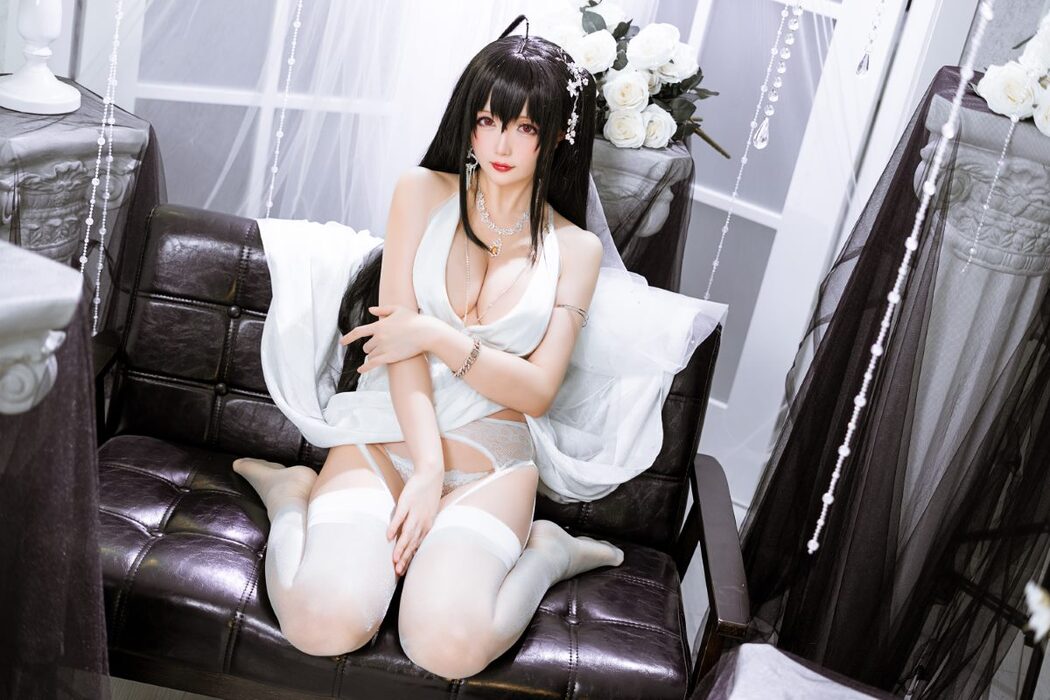 Coser@星之迟迟 Vol.106 Darling 大凤