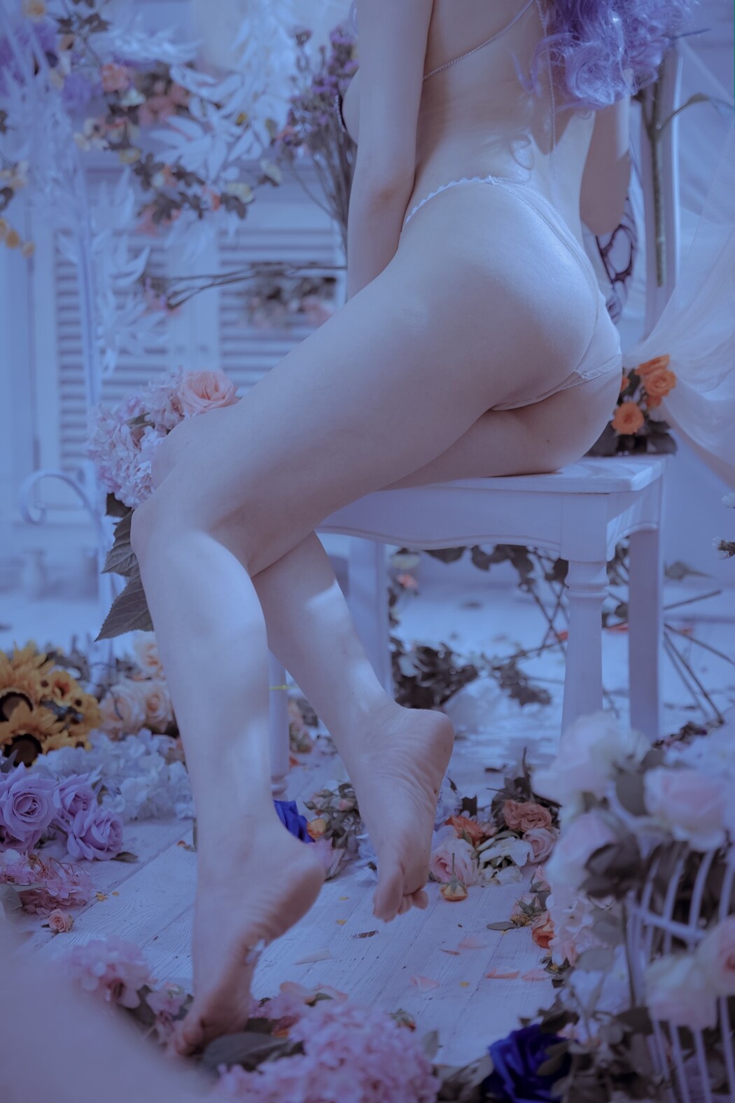 Coser@秋和柯基 Vol.085 蝴蝶夫人
