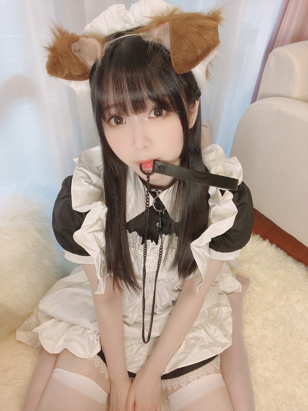 Coser@Shimo – Puppy Maid