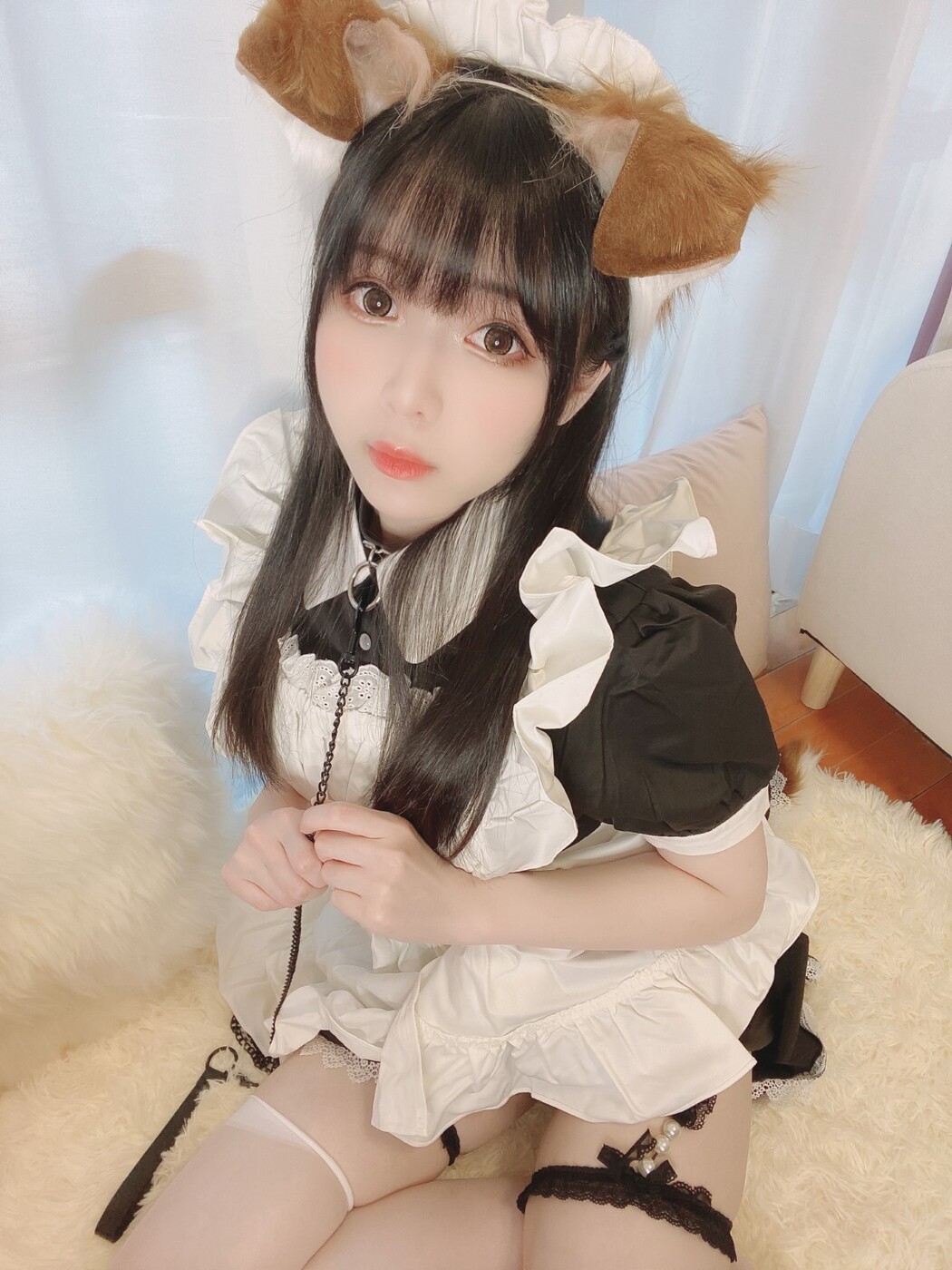 Coser@Shimo – Puppy Maid