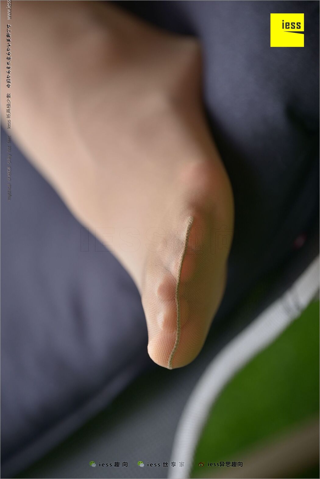 Huahua "Classic Little Feet" [Iss to IESS] Silky Foot Bento 210