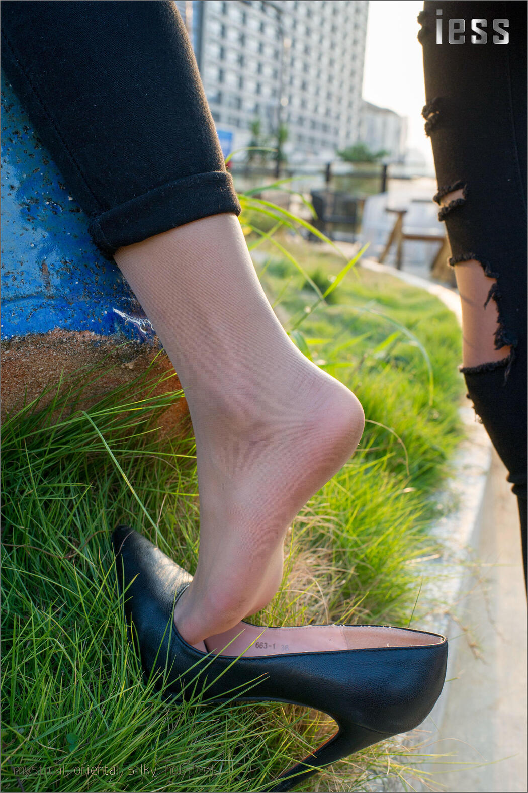 Silky Foot Bento 018 SASA "SASA and ES6 (Ultra-thin Pork)" [IESS Weird Fun Direction]