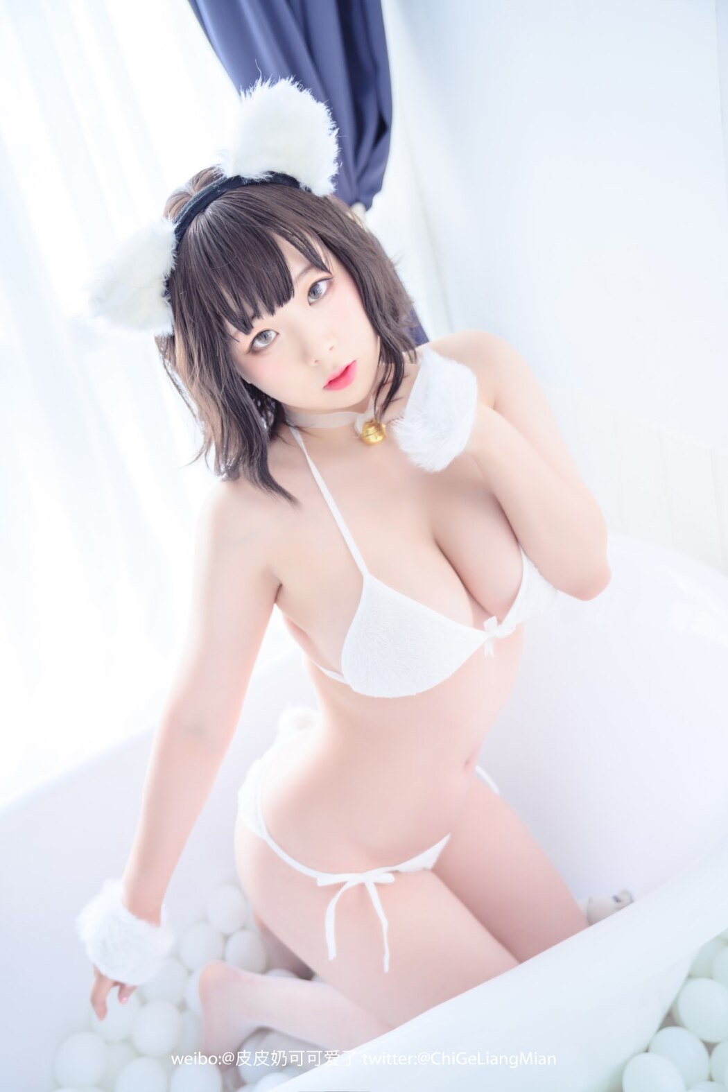 Coser@皮皮奶可可爱了啦 白猫