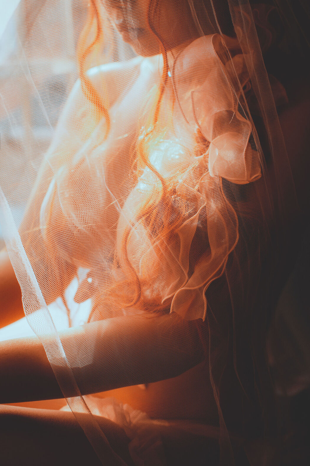 [Beauty Coser] Cong Cong Cong Luan "French Lingerie" Cover Photo