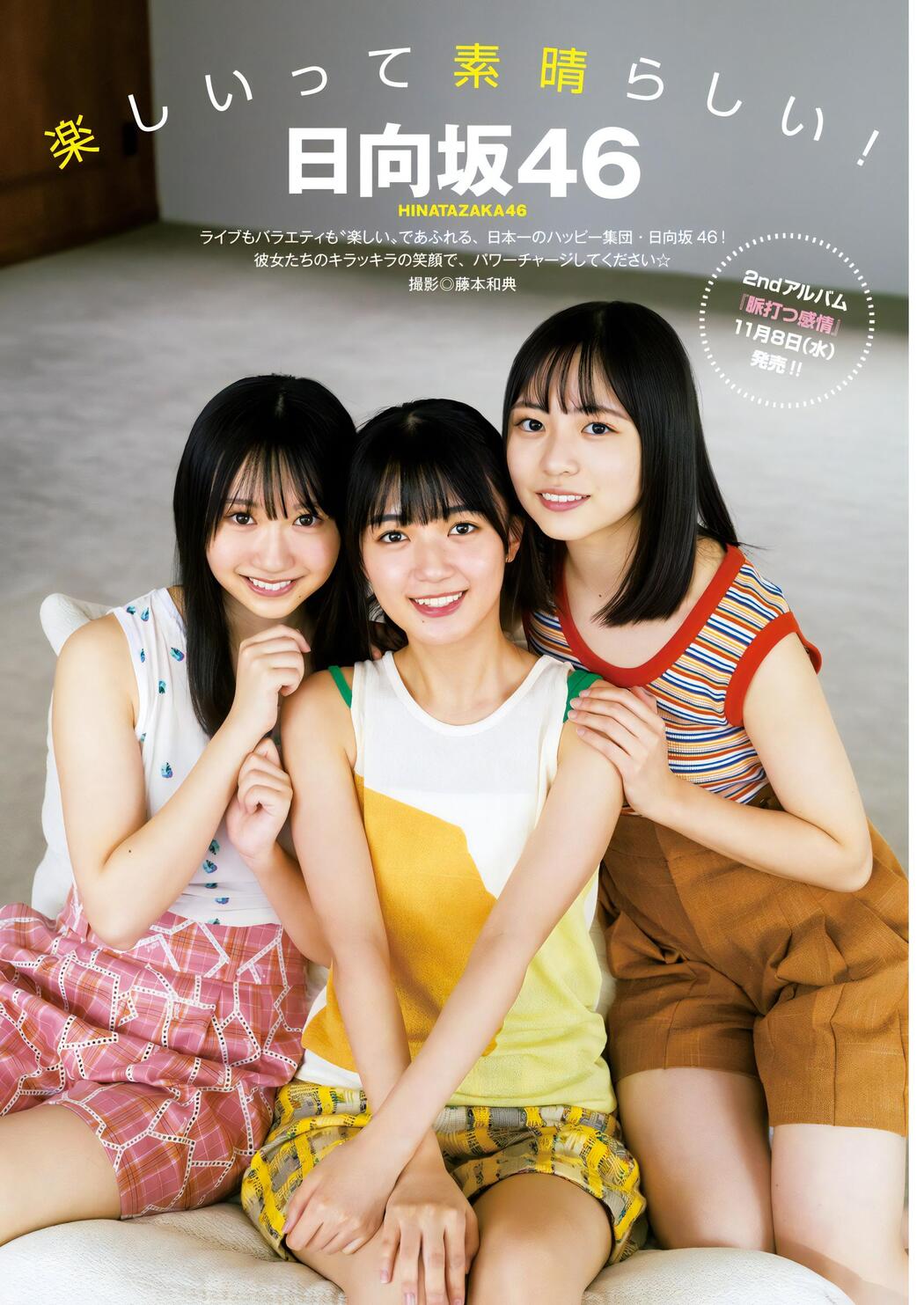 日向坂46, Young Jump 2023 No.49 (ヤングジャンプ 2023年49号)