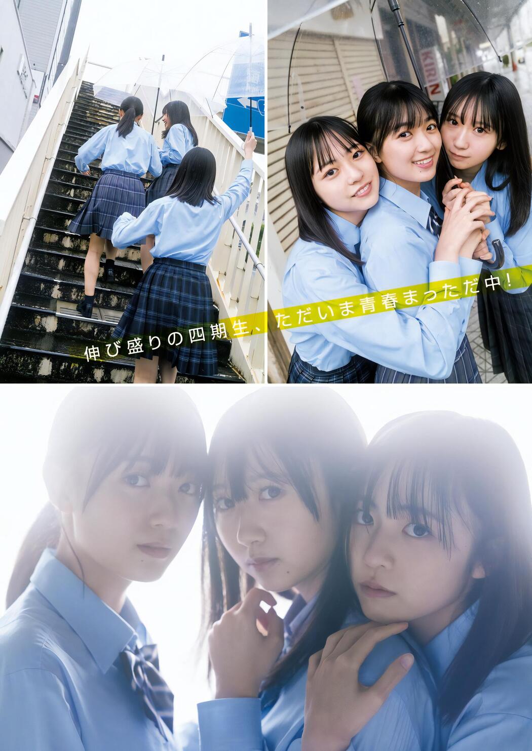 日向坂46, Young Jump 2023 No.49 (ヤングジャンプ 2023年49号)