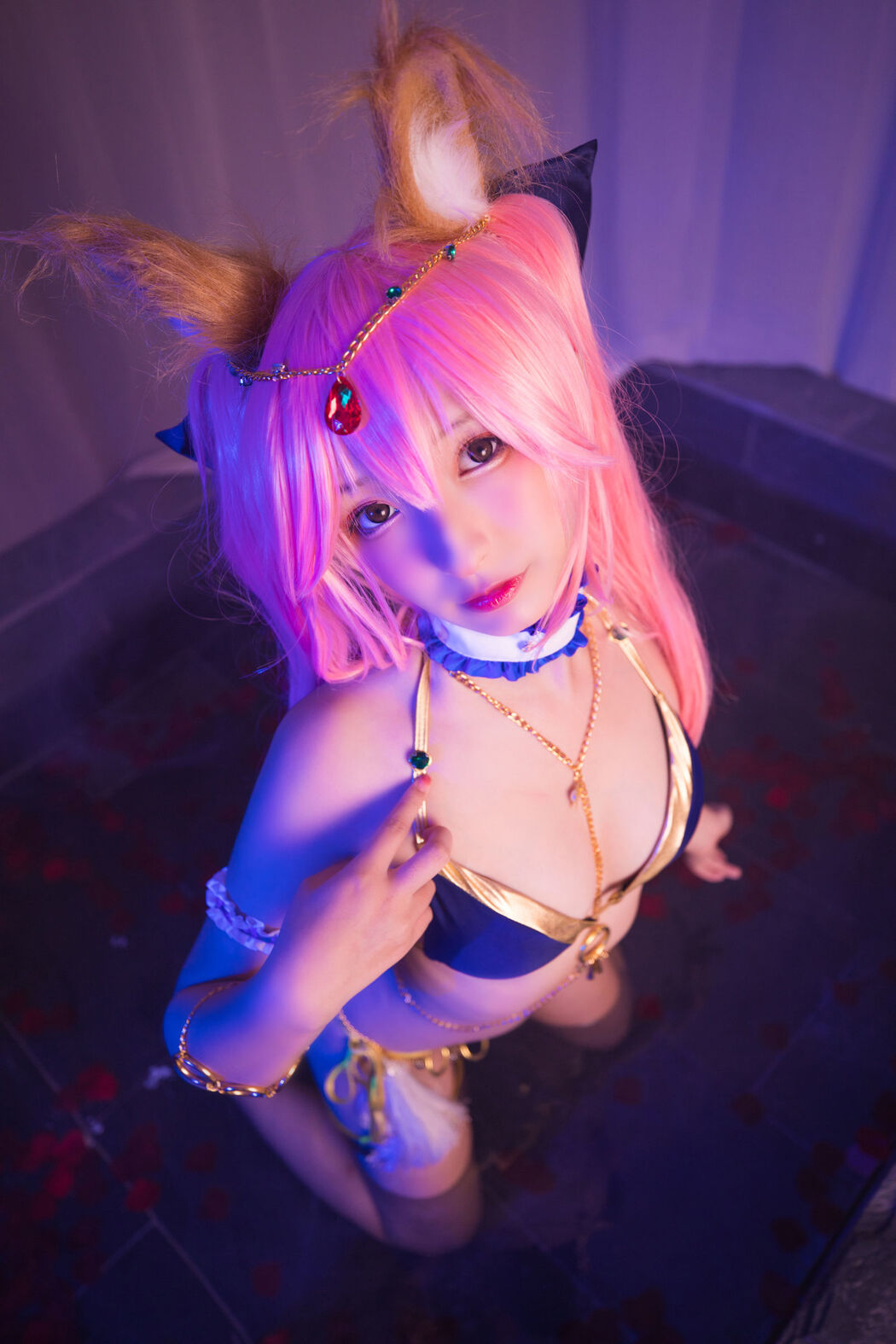 COSER Kamiyazaka Masuhiro "Tamazo Former Dancer Mysterious Love" [Welfare COSPLAY]