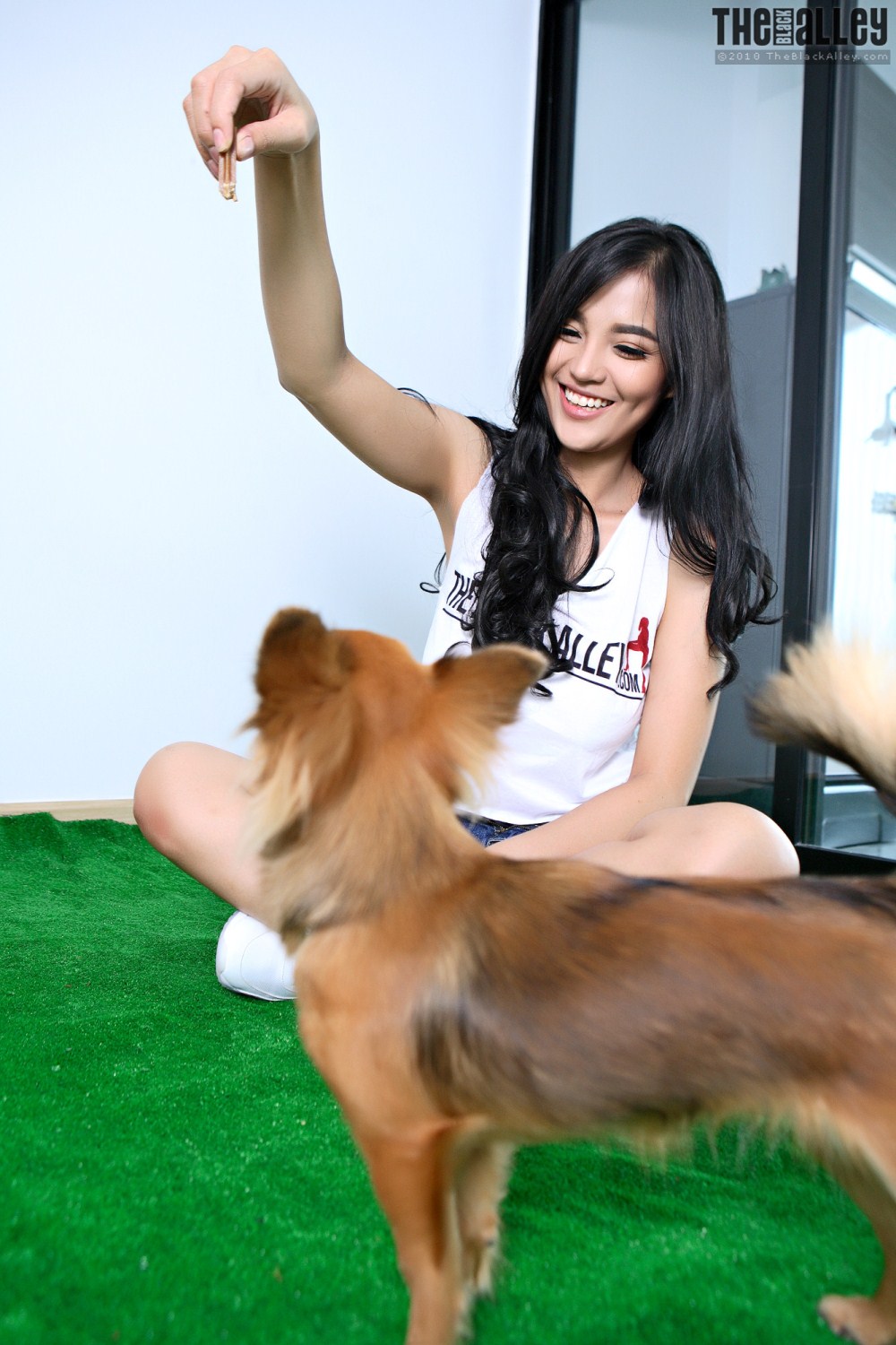 [The Black Alley] Pitta Set.01