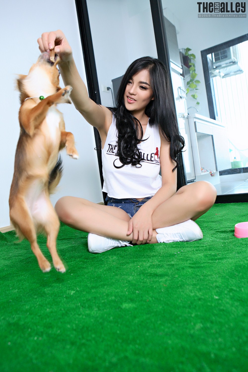 [The Black Alley] Pitta Set.01