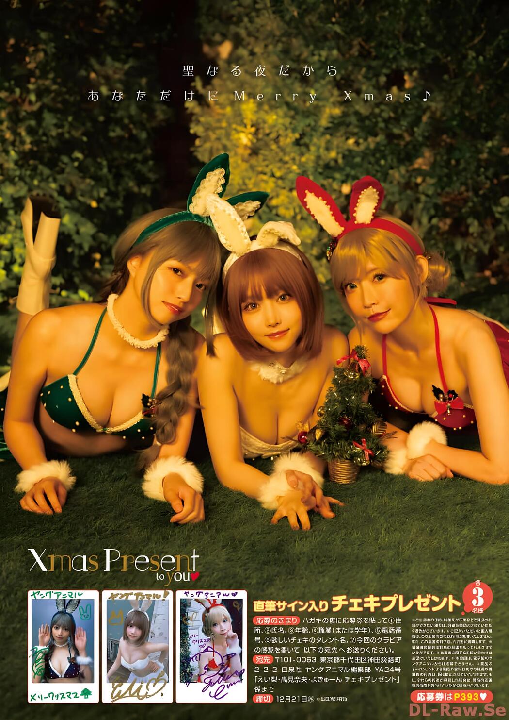 えい梨・よきゅーん・高見奈央, Young Animal 2023 No.24 (ヤングアニマル 2023年24号)