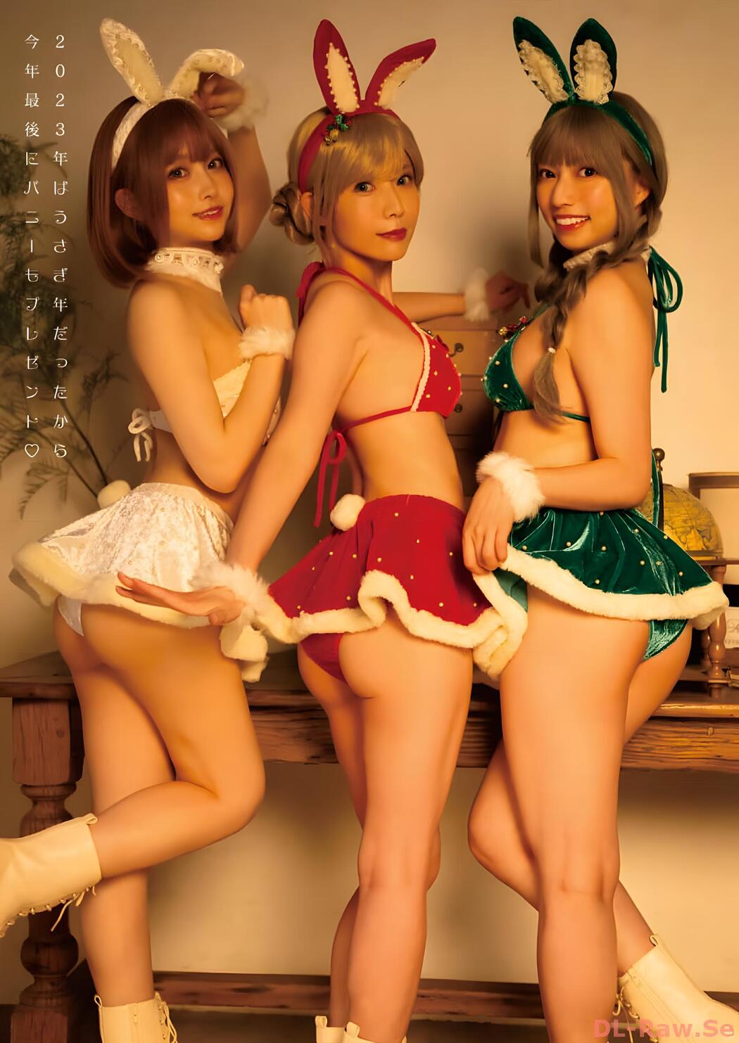 えい梨・よきゅーん・高見奈央, Young Animal 2023 No.24 (ヤングアニマル 2023年24号)