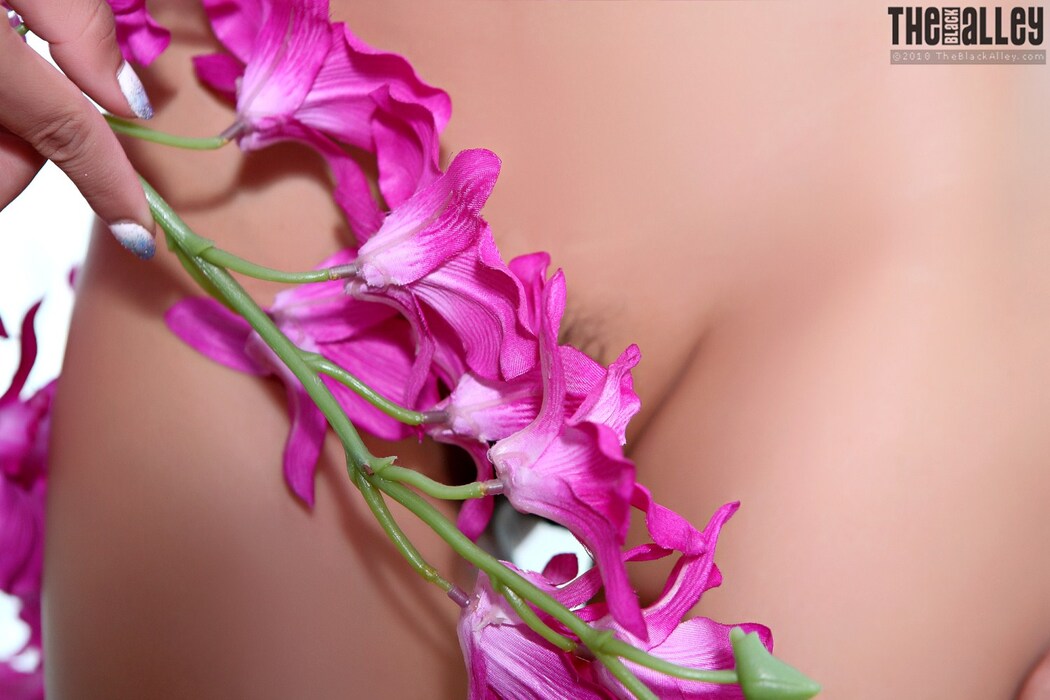 [The Black Alley] Rosita Set.24 2019.02.20