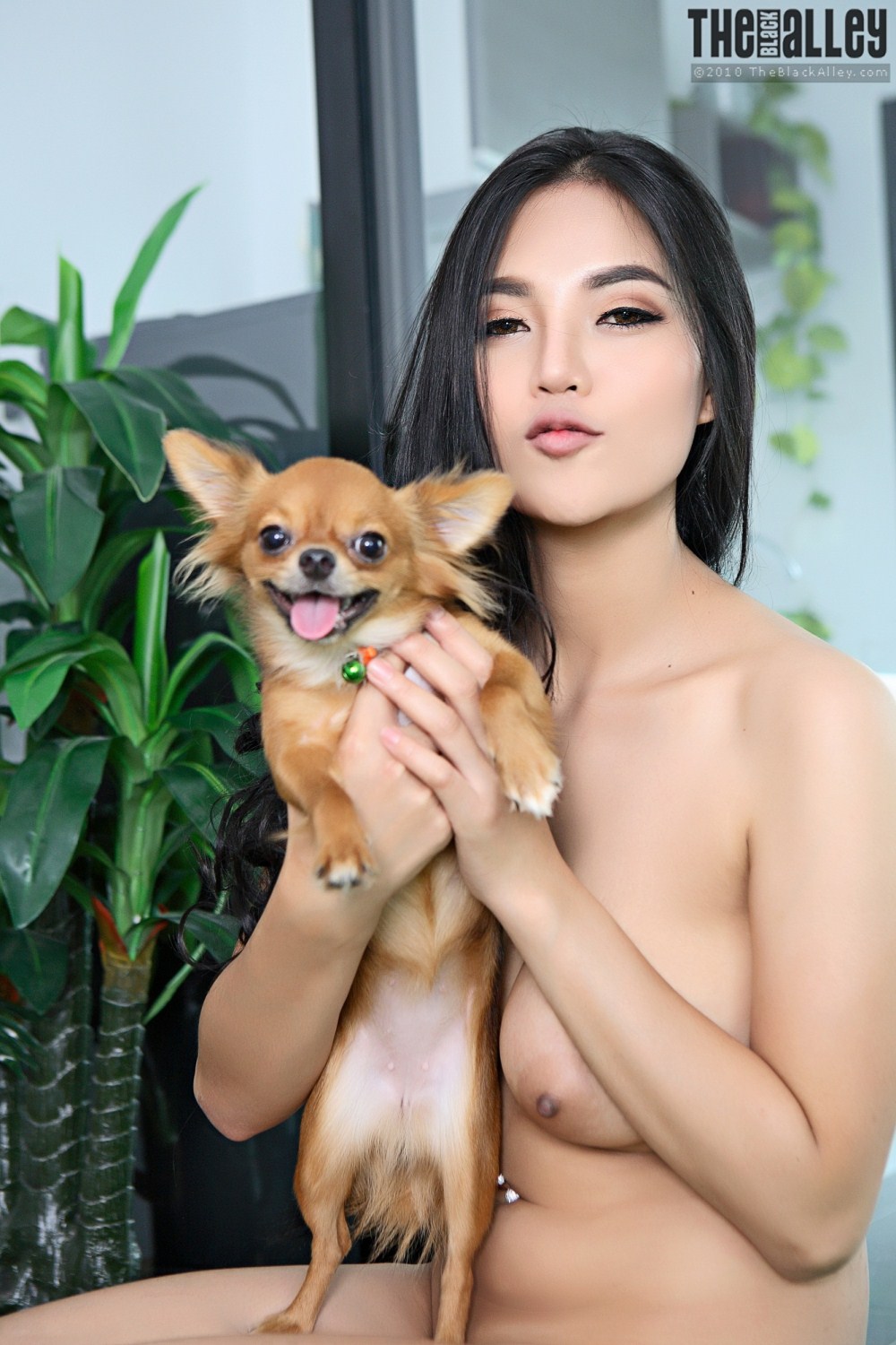 [The Black Alley] Pitta Set.04