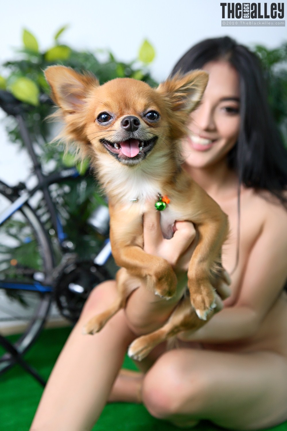 [The Black Alley] Pitta Set.04