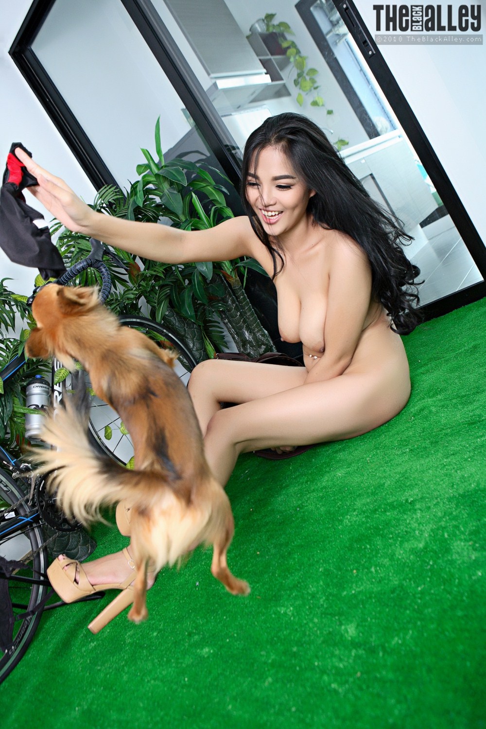 [The Black Alley] Pitta Set.04