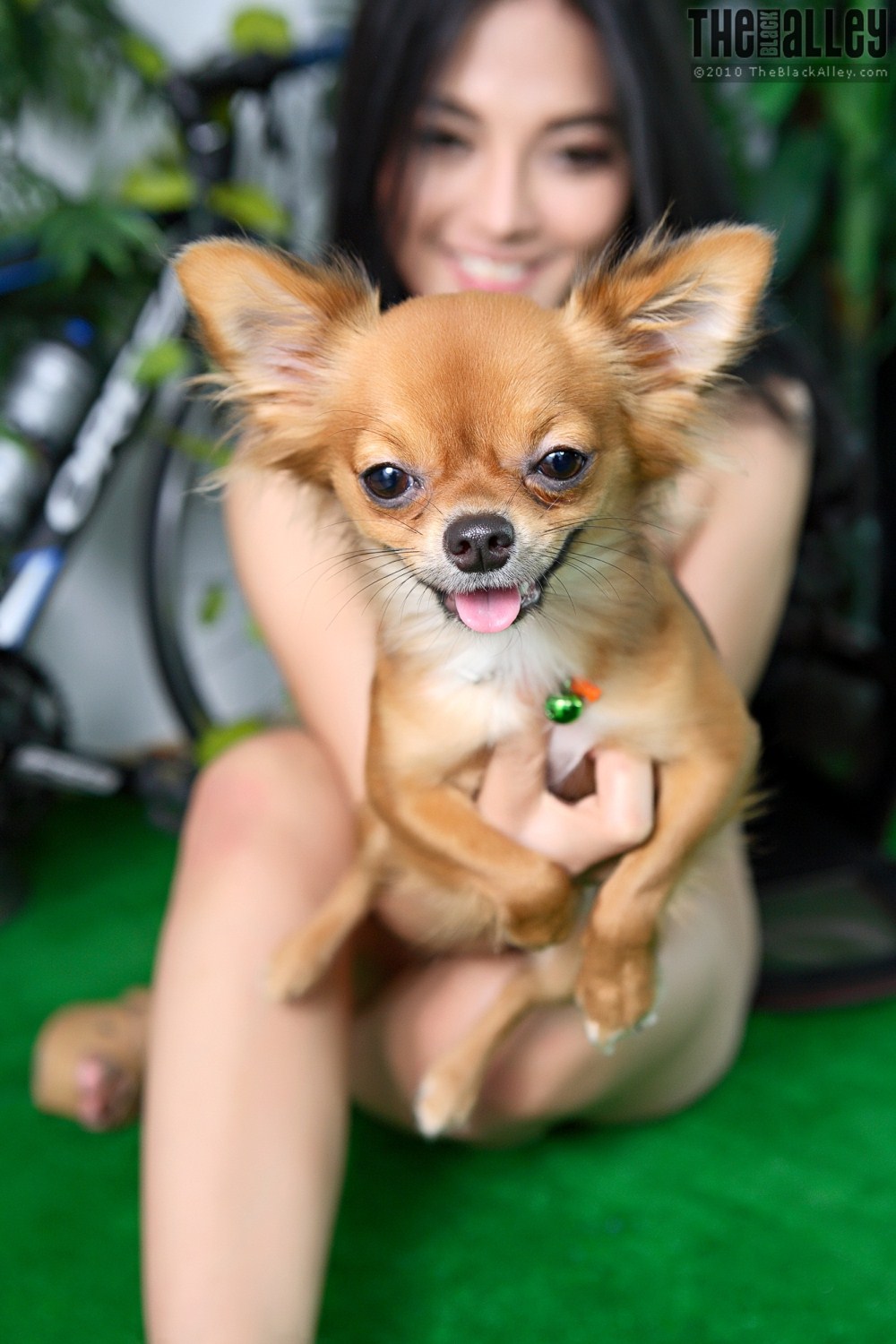 [The Black Alley] Pitta Set.04