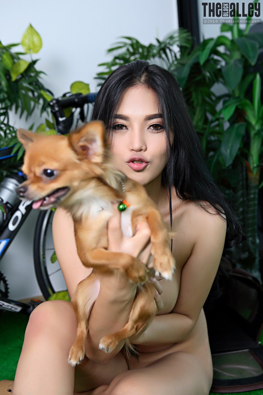 [The Black Alley] Pitta Set.04