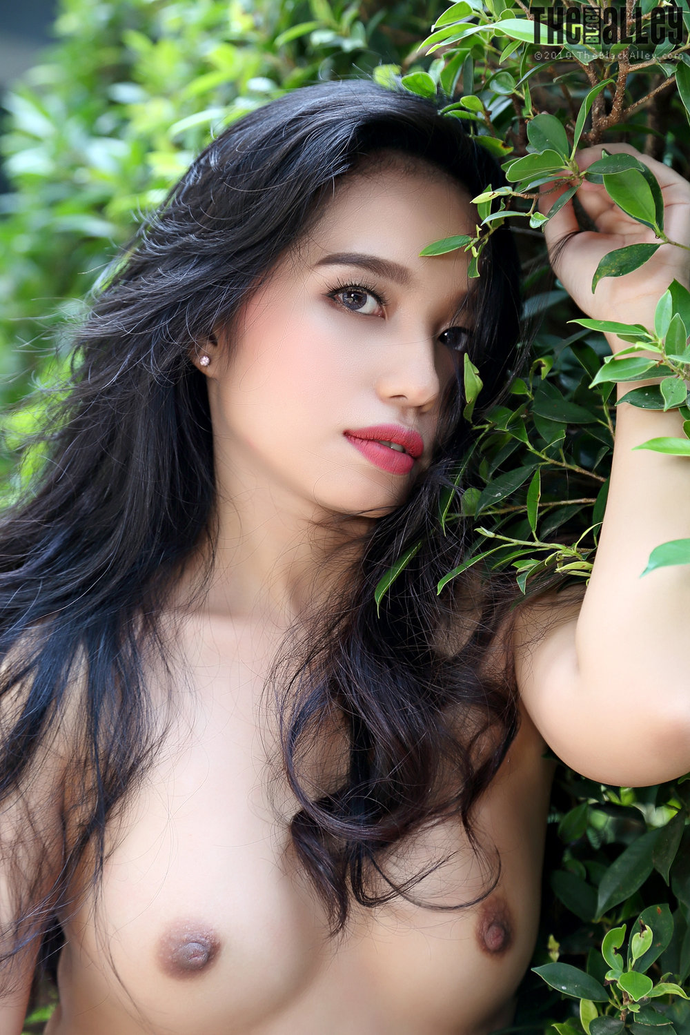 [The Black Alley] Norah Set.01 2019.03.25