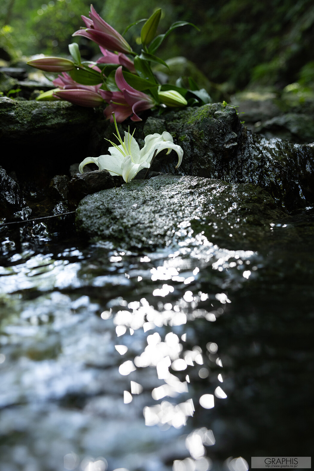 Urara Kanon 花音うらら, [Graphis] Gals 「To Be Loved」 Vol.05