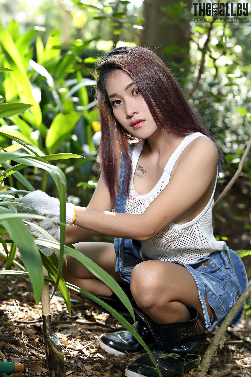 [The Black Alley] Linlin Set.11 2019.04.09