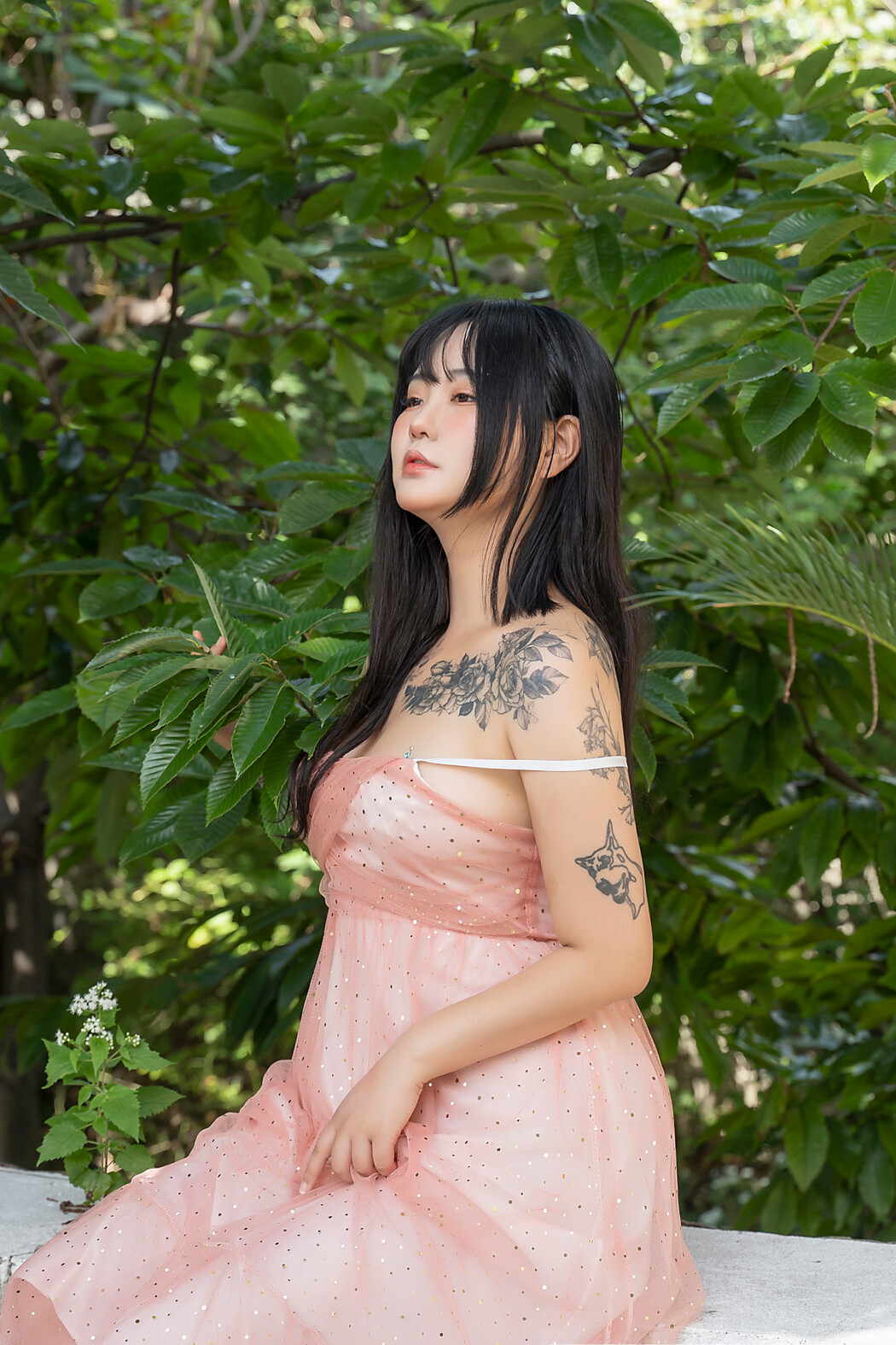 Jeon BoYeon 전보연, [SAINT Photolife] Vol.3 MILK Set.01