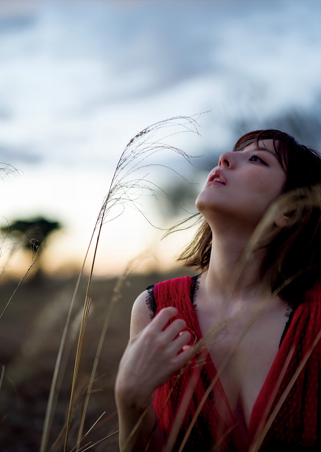 Yumi Sugimoto 杉本有美, 写真集 『 蝶光 』 Set.02
