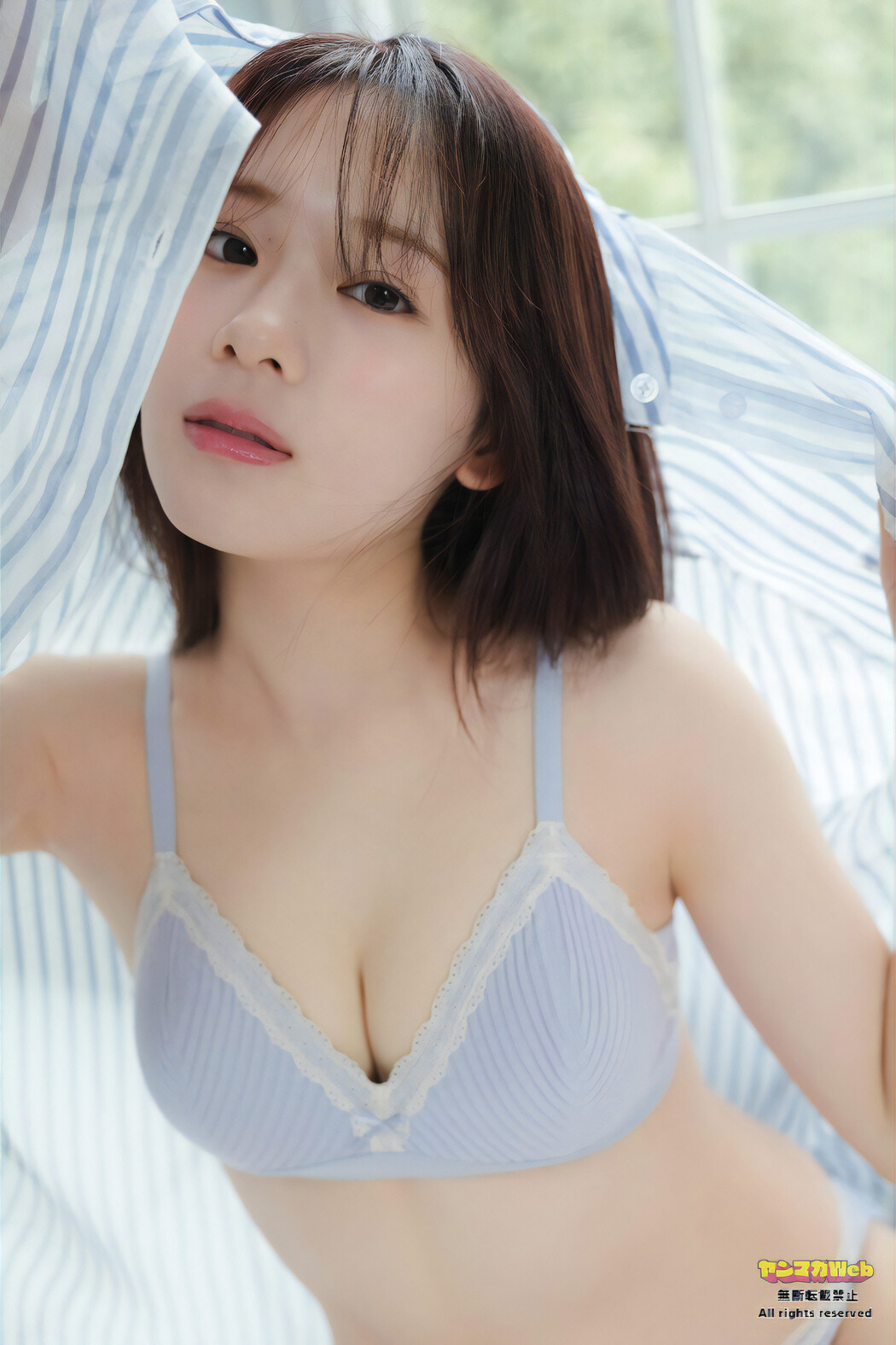 Seri Shirakawa 白河芹, Young Magazine 2024 No.16 (ヤングマガジン 2024年16号)