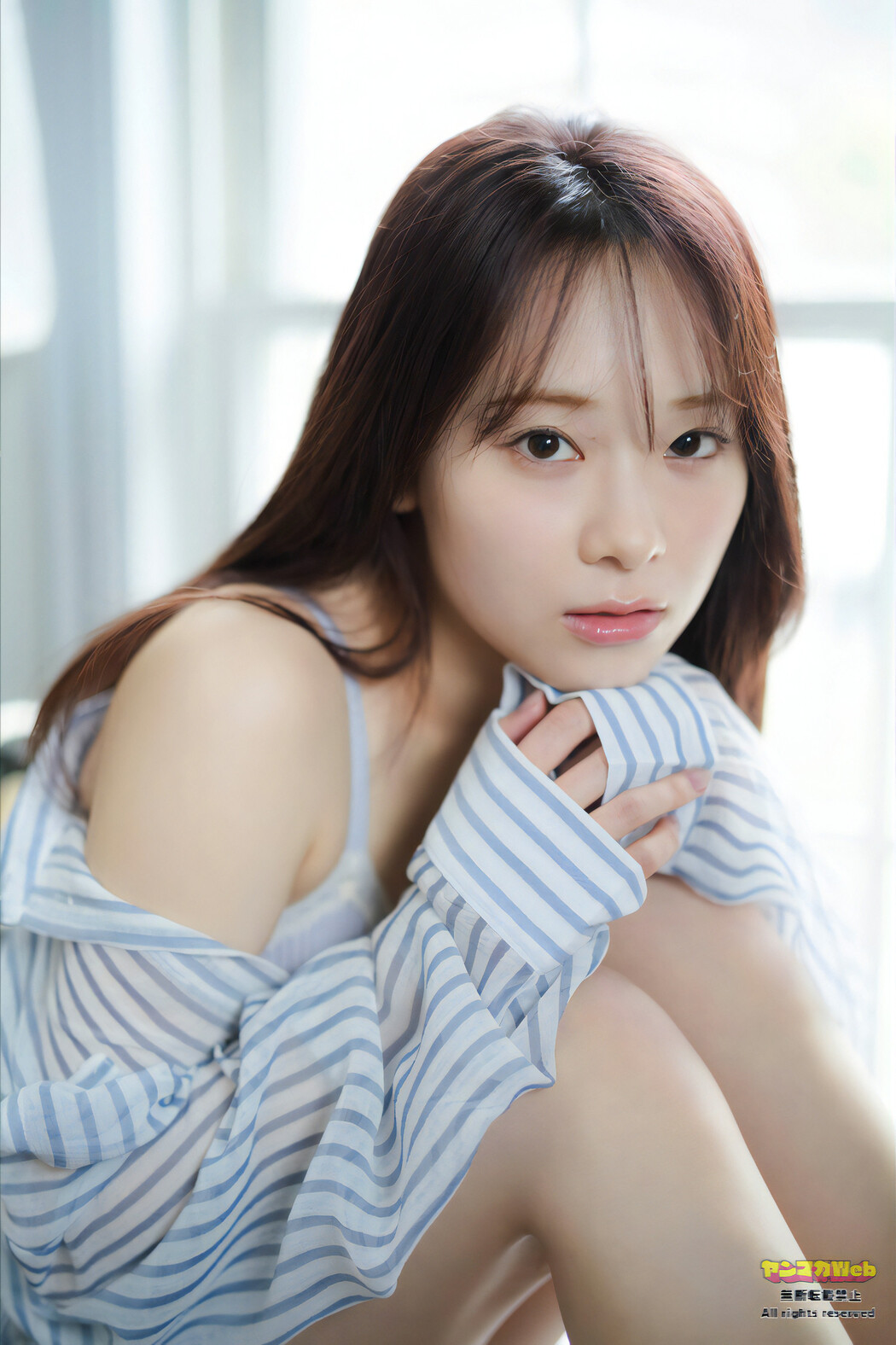 Seri Shirakawa 白河芹, Young Magazine 2024 No.16 (ヤングマガジン 2024年16号)