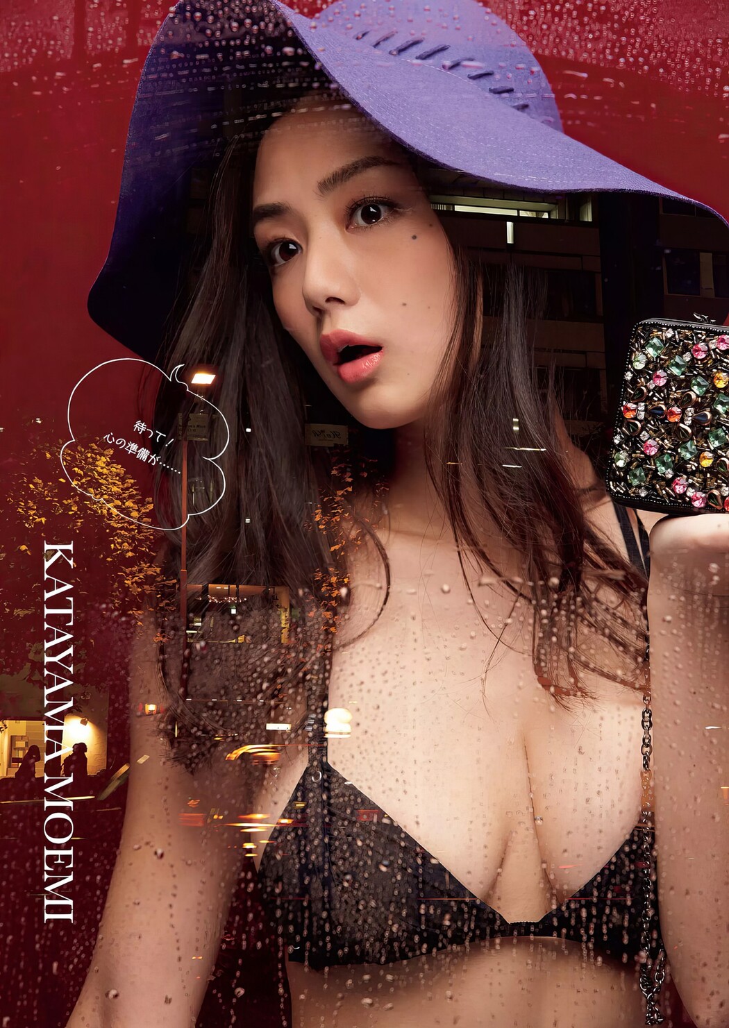 グラビア！特集！てんこ盛り！！ Weekly Playboy 2017 No.01 (週刊プレイボーイ 2017年1号)