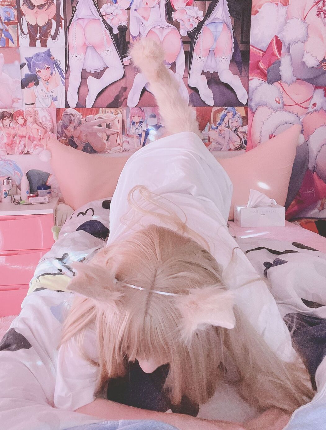 Coser@习呆呆 – Kinako Neko