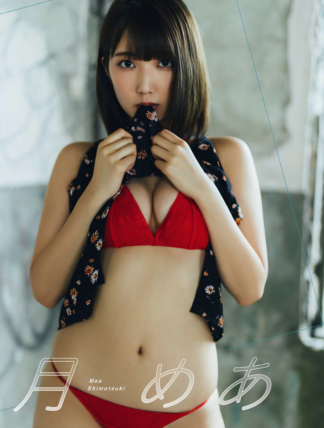 Mea Shimotsuki 霜月めあ, Platinum FLASH x 01familia Cover Photo