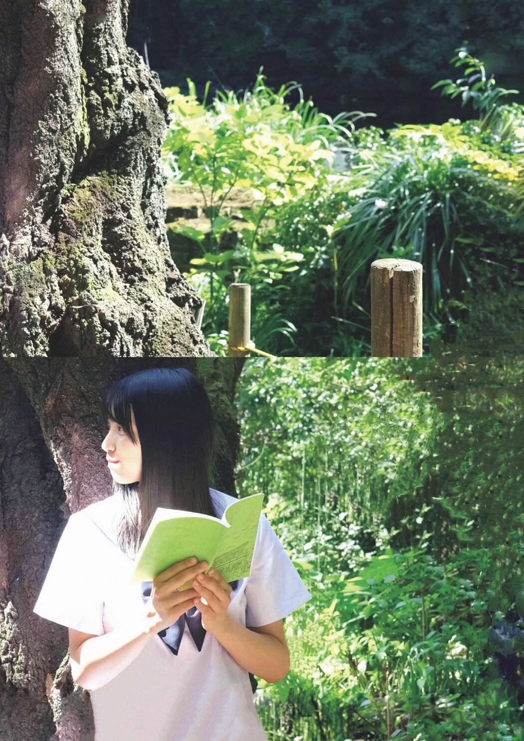 Mao Ioki 五百城茉央, Weekly Playboy 2024 No.17 (週刊プレイボーイ 2024年17号)