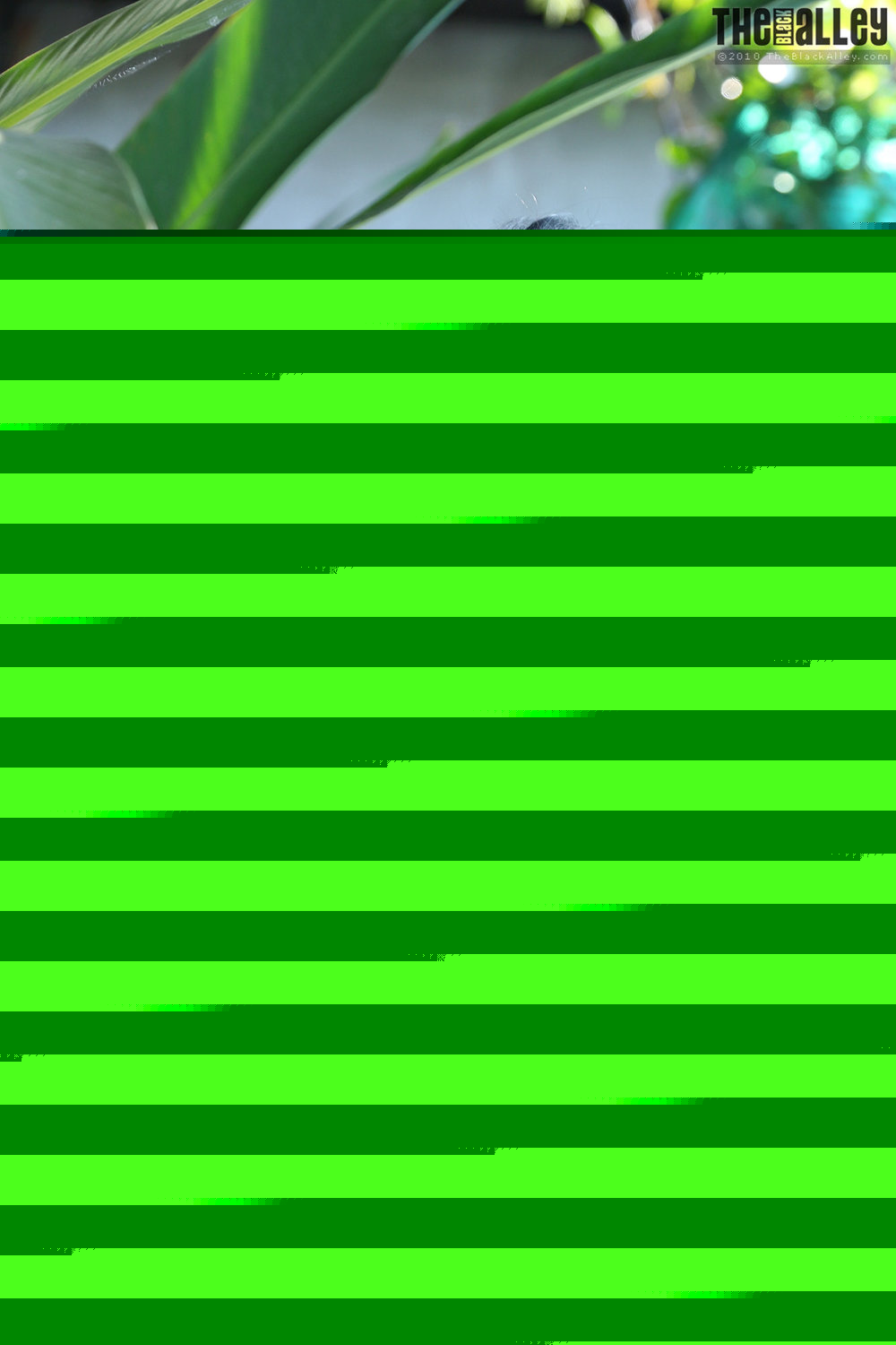 [The Black Alley] Norah Set.08 2019.05.15