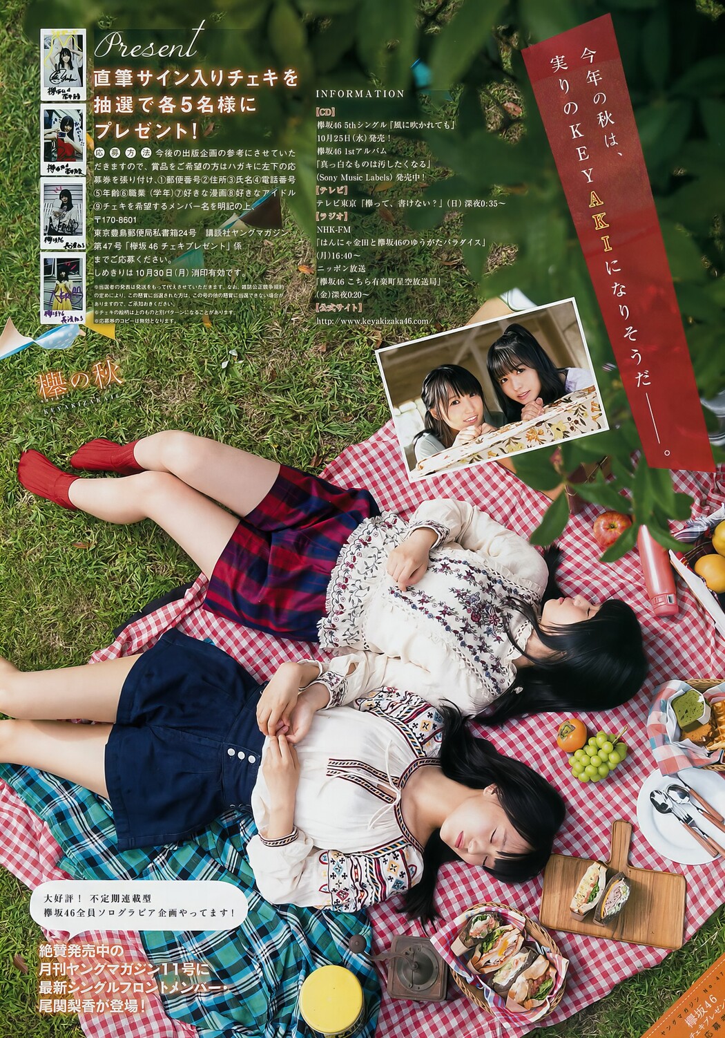 菅井友香・長濱ねる, Young Magazine 2017 No.47 (ヤングマガジン 2017年47号)