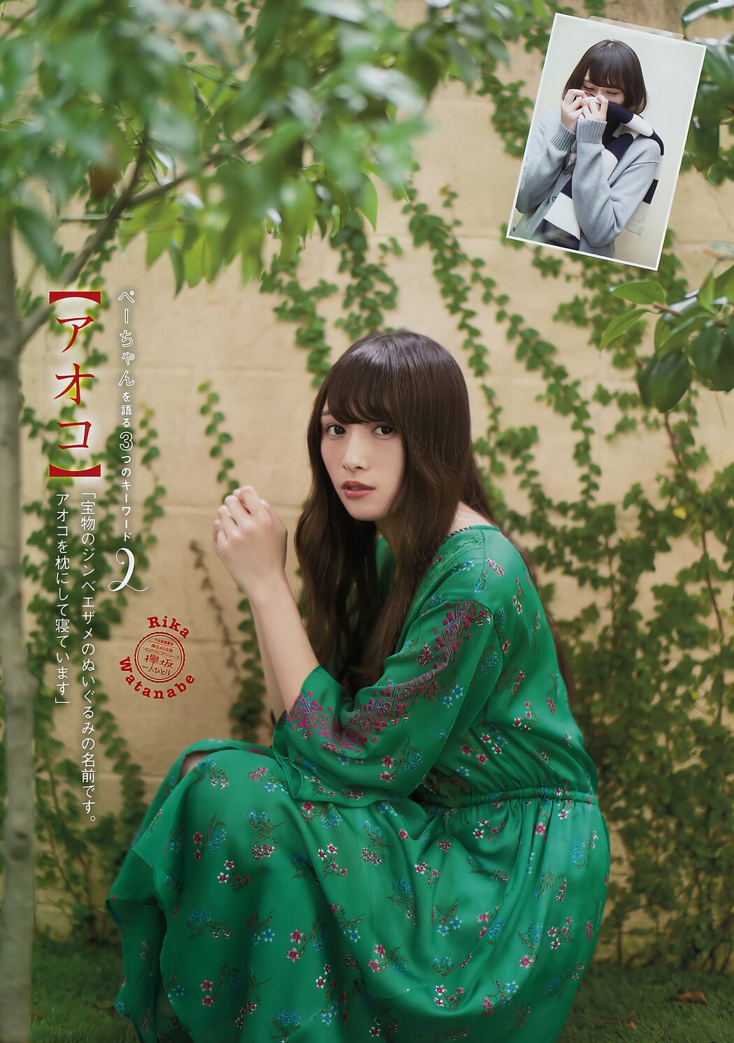 今泉佑唯・渡辺梨加, Young Magazine 2017 No.51 (ヤングマガジン 2017年51号)