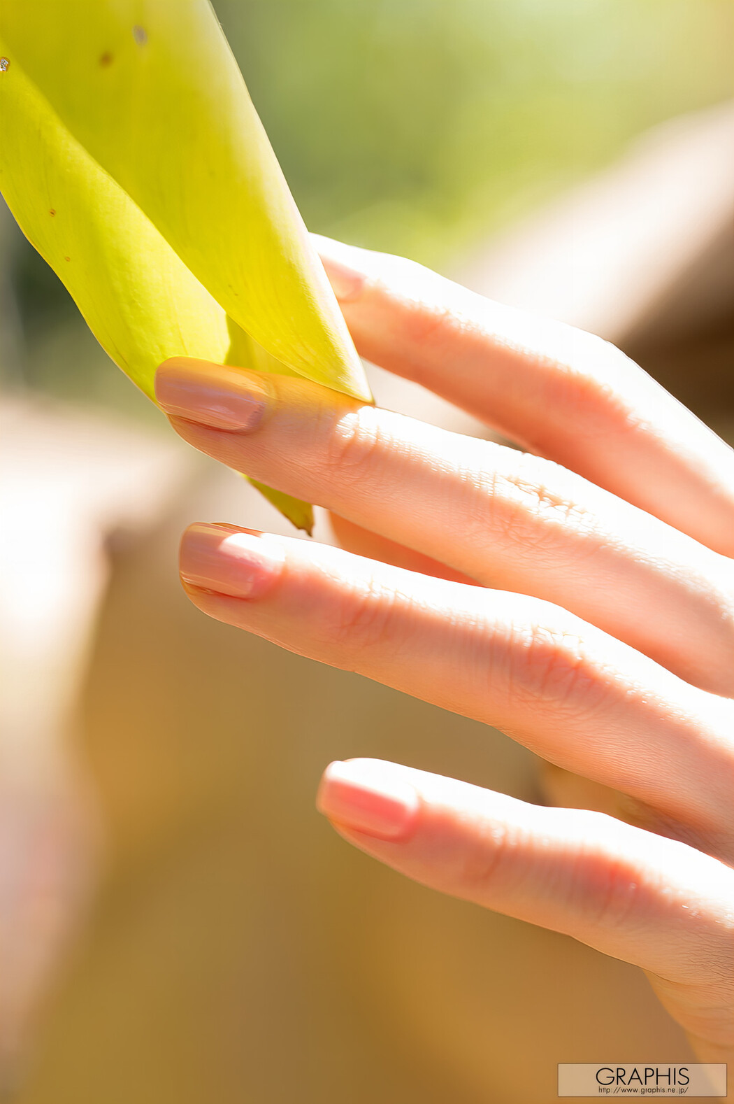 Miku Ohashi 大橋未久, Graphis Gravure Special Vol.01