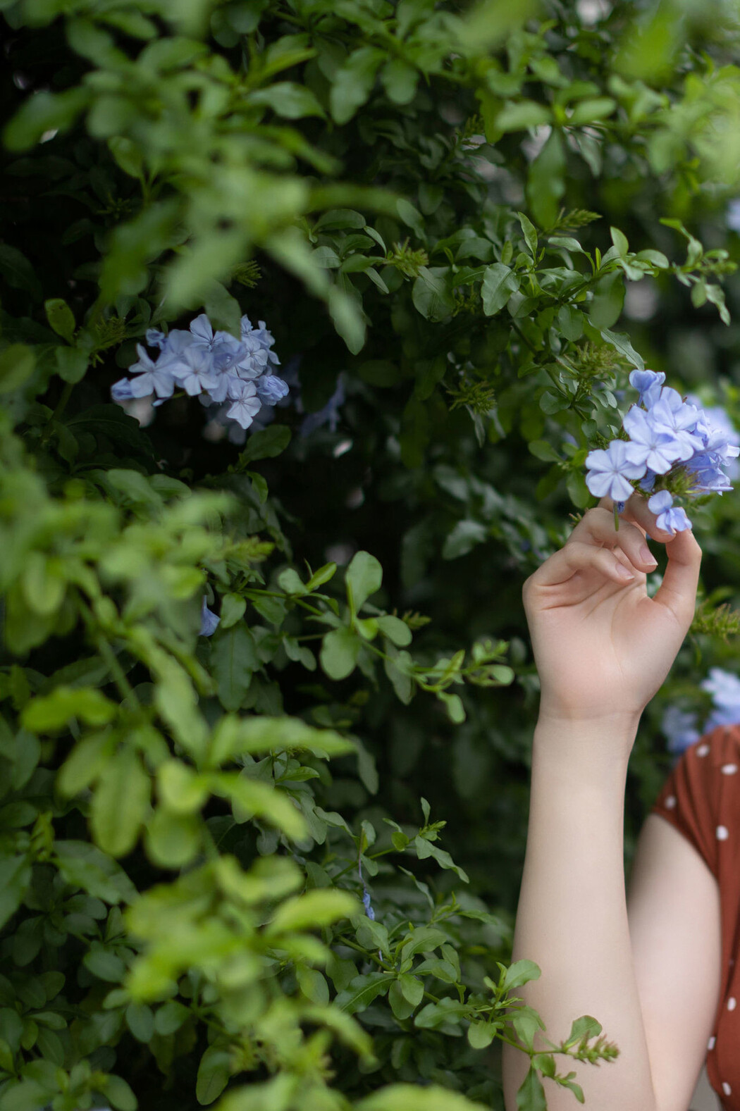 Mei Ishihama 石浜芽衣, FRIDAYデジタル写真集 「今日はふたりっきり。Vol.2 大増量１１５ページ」 Set.01 Cover Photo