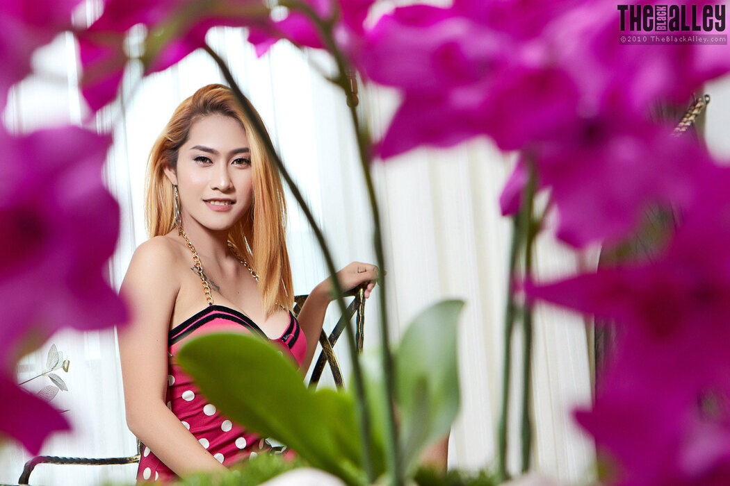 [The Black Alley] Linlin Set.16 2019.05.29