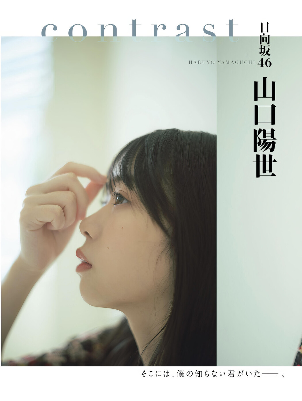 Haruyo Yamaguchi 山口陽世, Platinum FLASH Vol.24