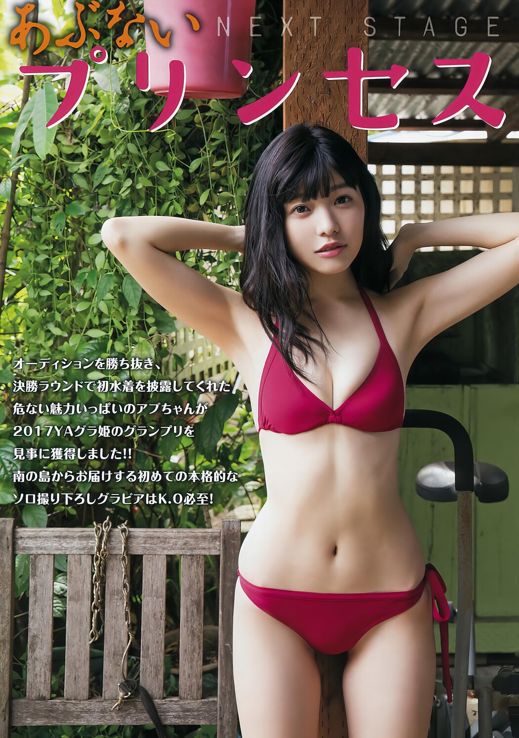 Natsumi Ishikawa 石川夏海, Young Animal 2017 No.04 (ヤングアニマル 2017年4号)