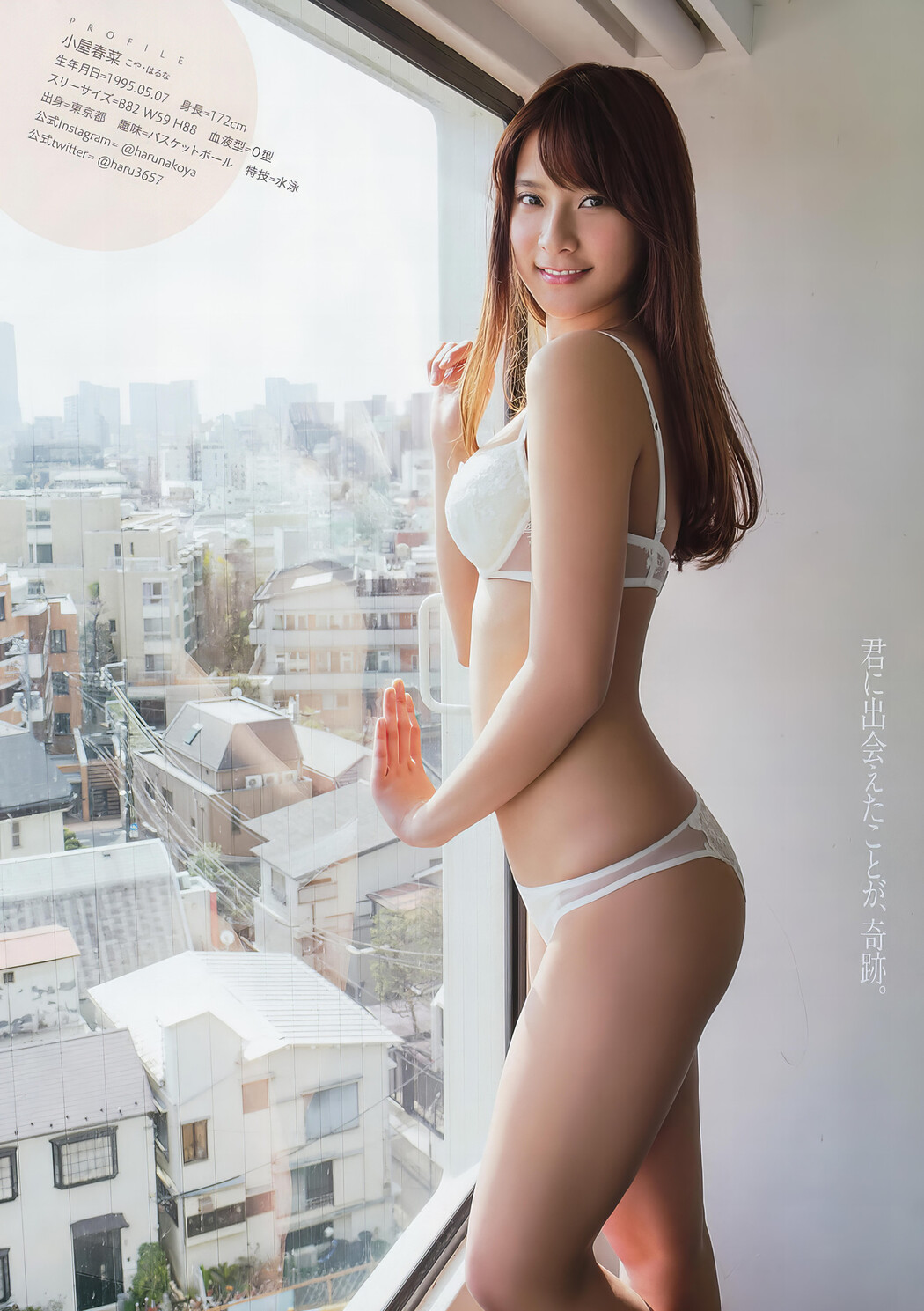 Haruna Koya 小屋春菜, Young Animal 2017 No.04 (ヤングアニマル 2017年4号)